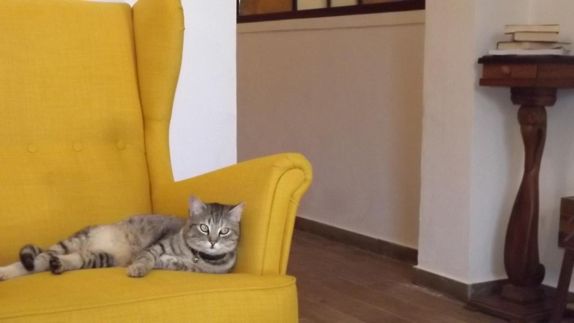 Beb Nonno Baffo Bed & Breakfast Avola Dış mekan fotoğraf