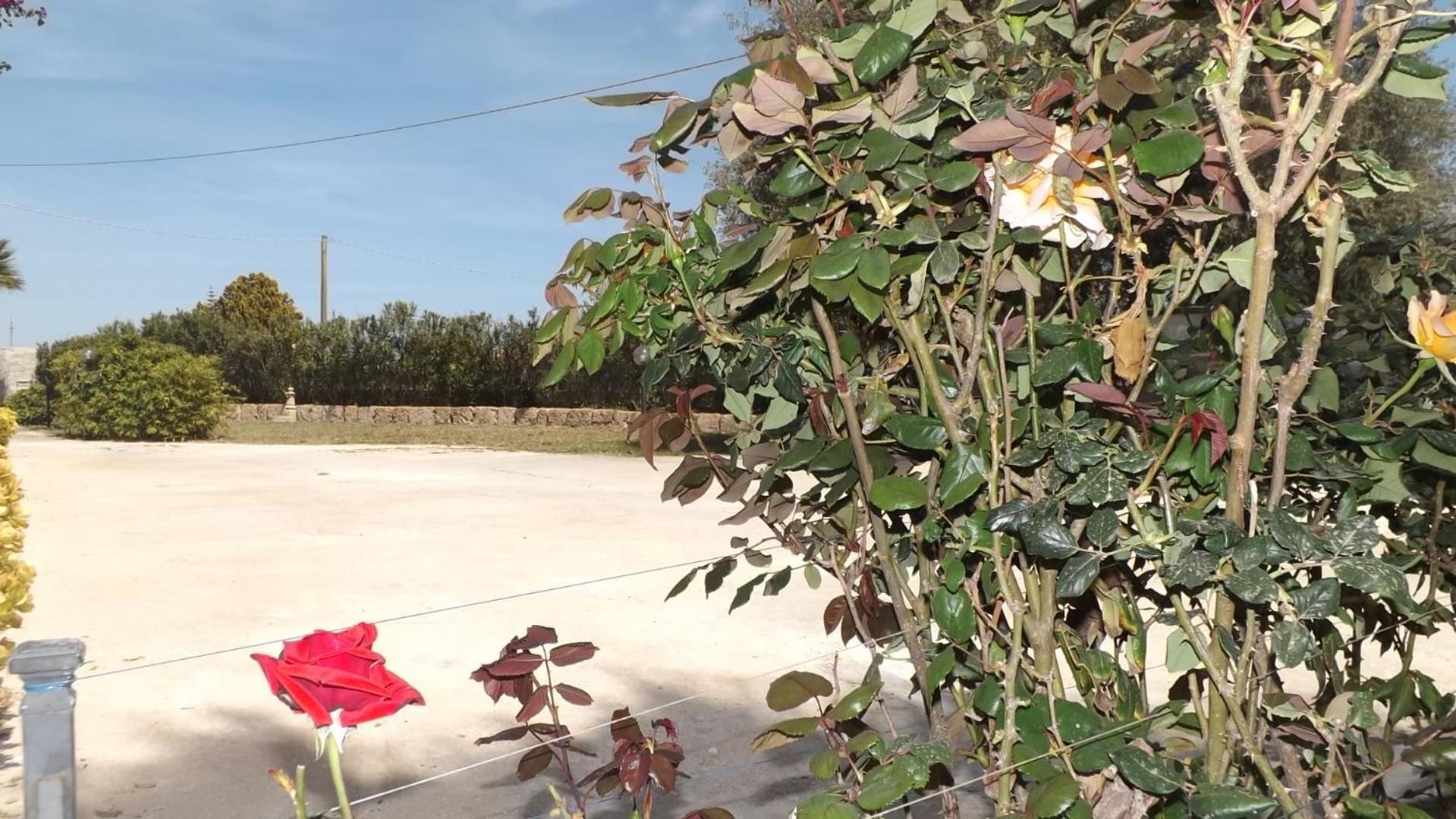 Beb Nonno Baffo Bed & Breakfast Avola Dış mekan fotoğraf